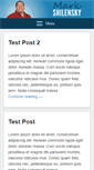Mobile Screenshot of markshilensky.com